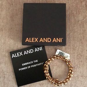 Alex and Ani Bracelet